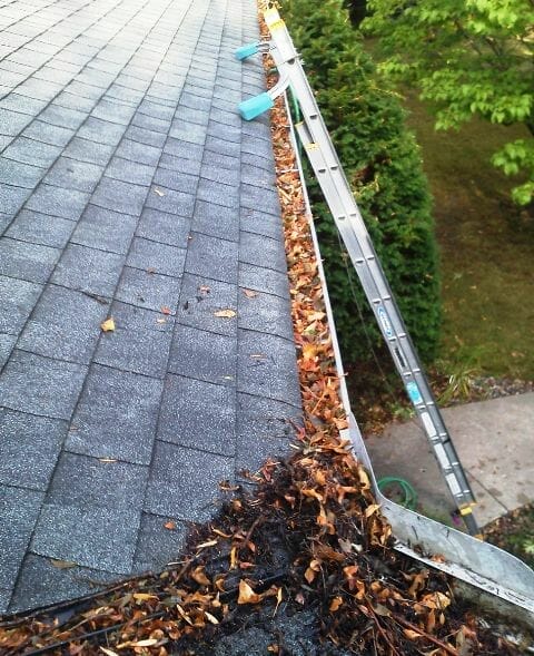 Spring Cleaning: Why You Should Clean Your Gutters Every Spring