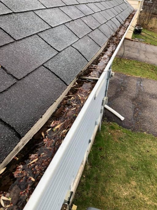 Gutter Cleaning Services in Apple Valley, MN