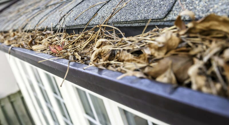 When is the Best Time to Clean Your Gutters?