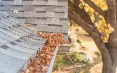 Debunking  Common Gutter Cleaning Myths