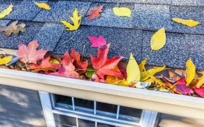 Preparing Your Gutters For the Fall