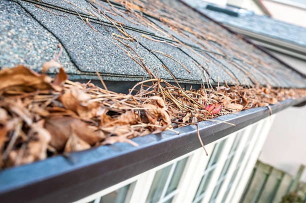 What Is The Typical Cost Of Gutter Cleaning In Minnesota