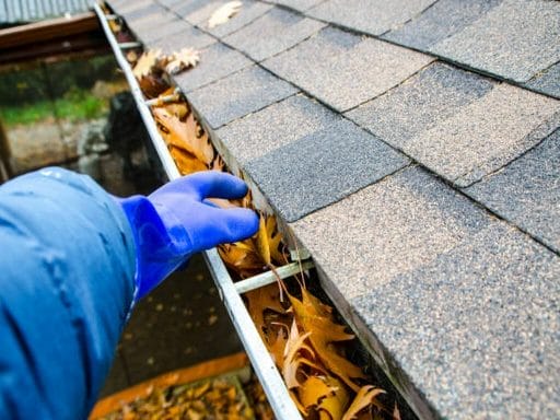 gutter cleaning services in Minneapolis