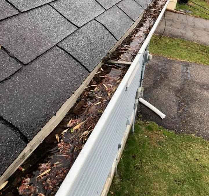 Professional Gutter Cleaning FAQs