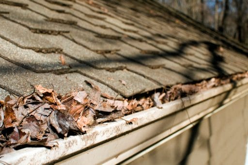 recommended gutter cleaning expert Minneapolis, MN