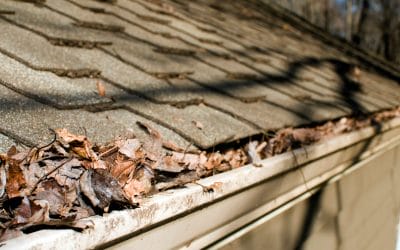 What is the Cost of Professional Gutter Cleaning in Minneapolis?