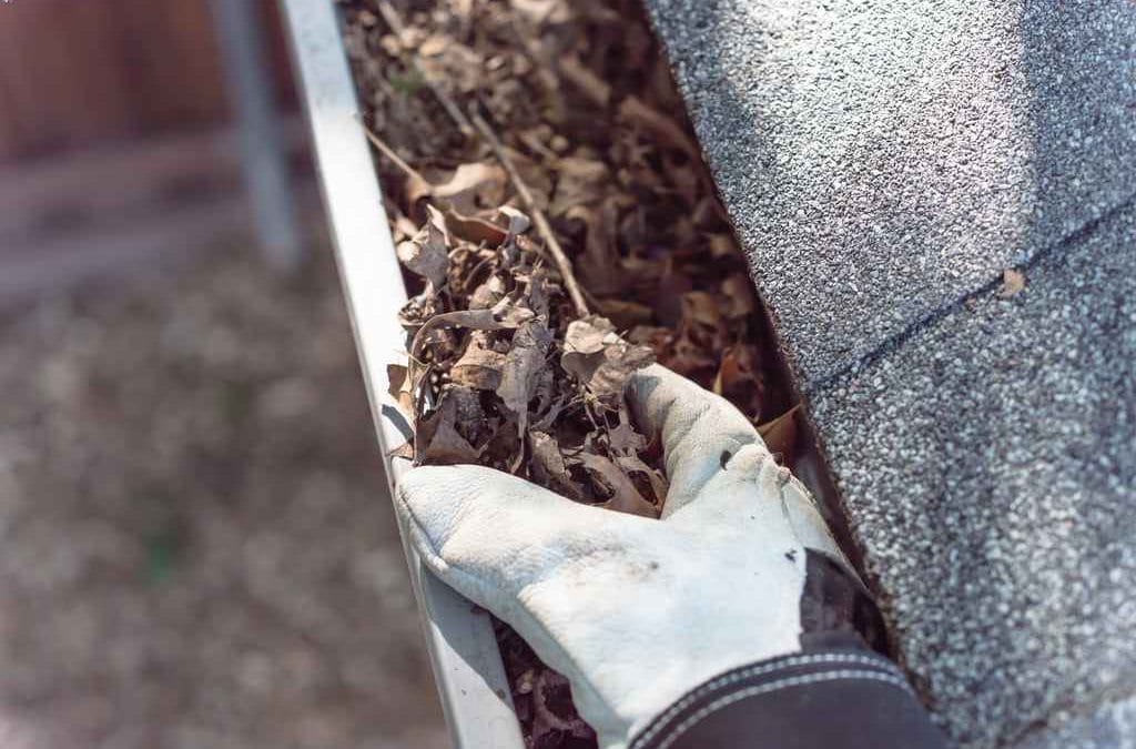 Important Questions to Ask Your Gutter Cleaning Professional