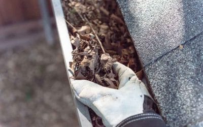 Important Questions to Ask Your Gutter Cleaning Professional