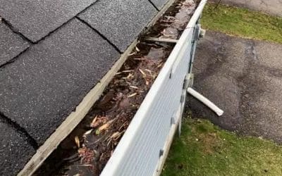 Spring Cleaning: Your Pre-Spring Gutter Cleaning Checklist