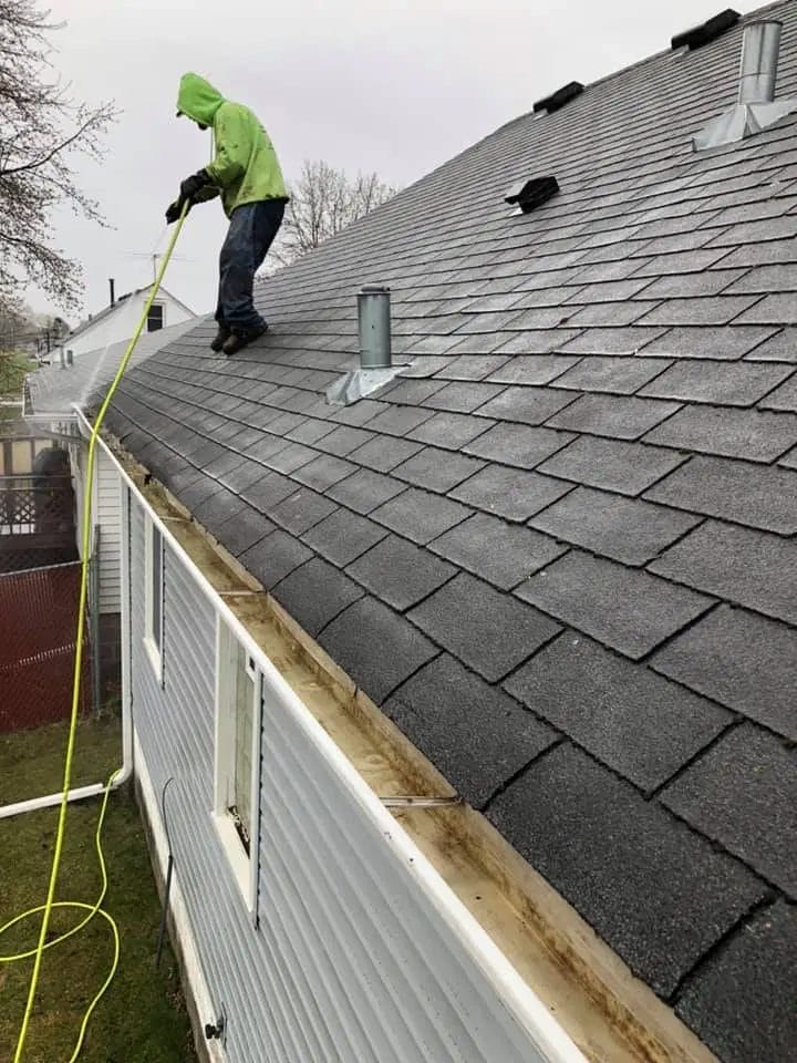 gutter cleaning, pest control, Minneapolis