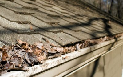 Best Practices for Gutter Cleaning on Multi-Family Buildings
