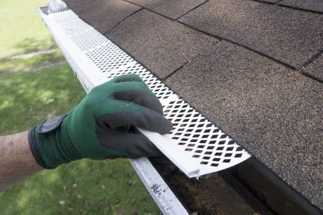 when to clean gutters in Minneapolis